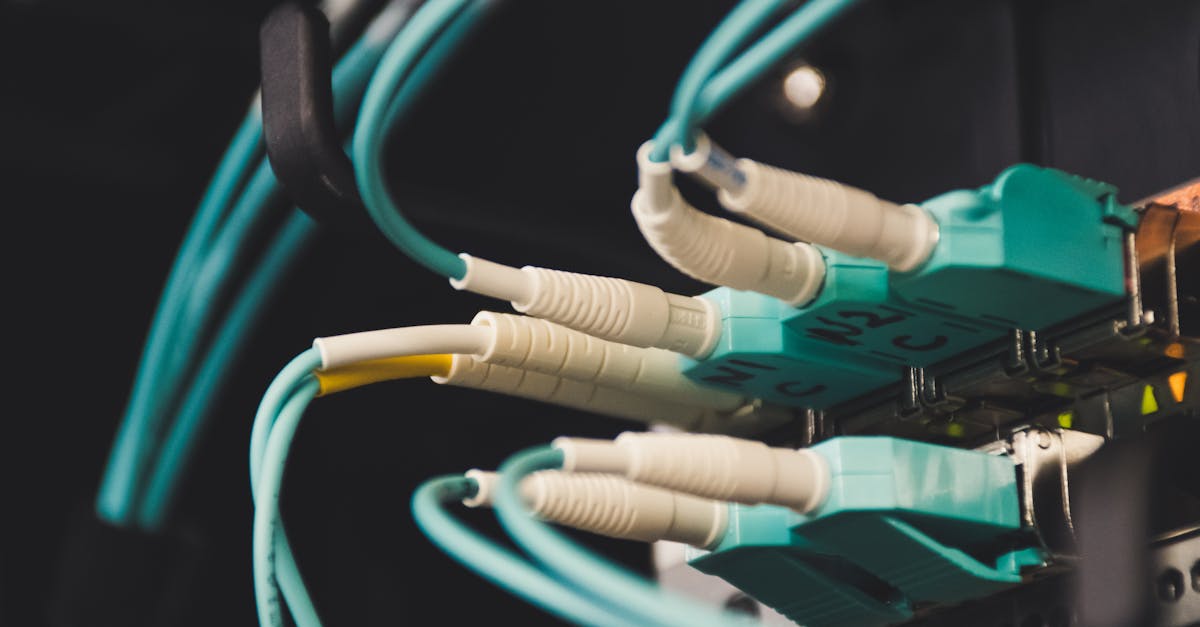 découvrez tout ce qu'il faut savoir sur les anal plugs : conseils d'utilisation, choix du modèle adapté et mesures de sécurité pour une expérience agréable et sécurisée.