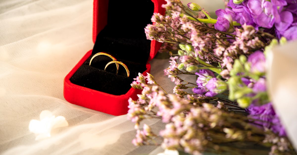 découvrez les accessoires bdsm incontournables pour débutants : conseils, choix sécurisés et idées pour explorer vos premiers jeux bdsm en toute confiance.