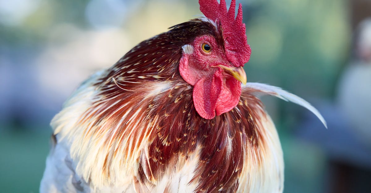 découvrez des informations complètes et des conseils sur la masturbation masculine, ses bienfaits, ses techniques et son impact sur la santé et le bien-être au masculin.