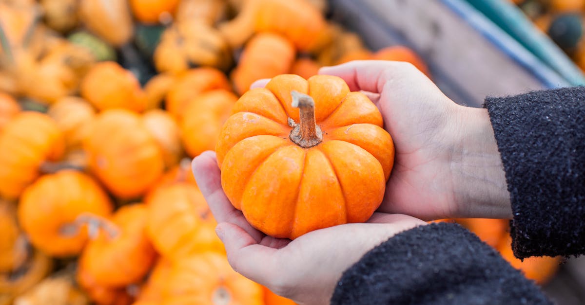 découvrez notre sélection de paddles adaptés à tous les niveaux : conseils d'achat, comparatifs et avis d'experts pour trouver la planche parfaite selon vos besoins.