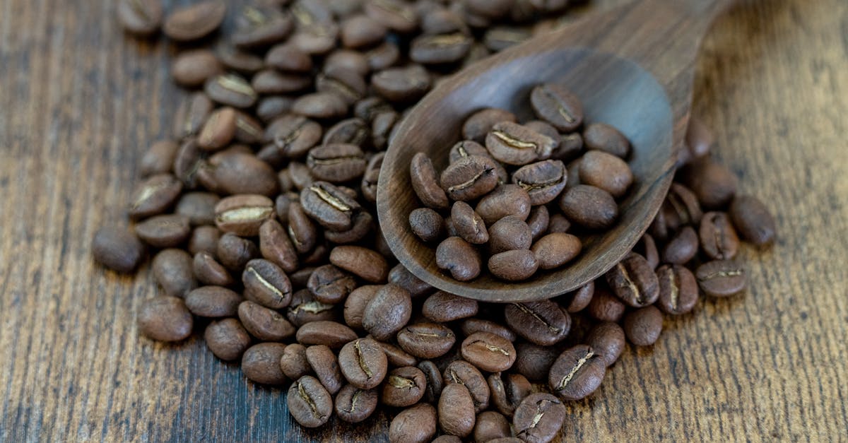 découvrez notre stimulateur de prostate pour une expérience de plaisir intense et une santé prostatique optimale. discret, ergonomique et facile à utiliser, il convient aussi bien aux débutants qu'aux utilisateurs avancés.