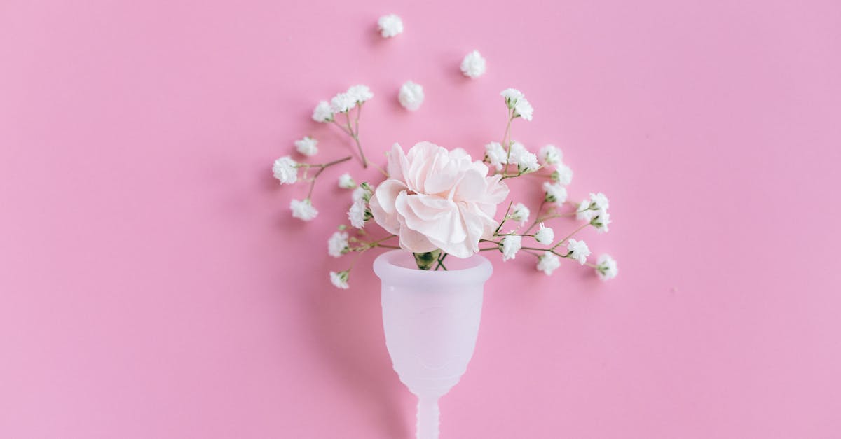 découvrez tout ce qu’il faut savoir sur le plaisir vaginal : conseils, informations et astuces pour mieux comprendre et explorer votre sexualité en toute confiance.